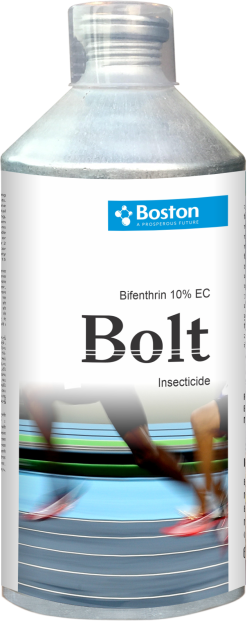 bolt