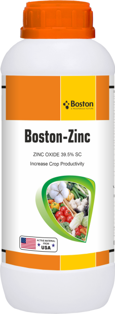 boston-zinc-39-9-sc