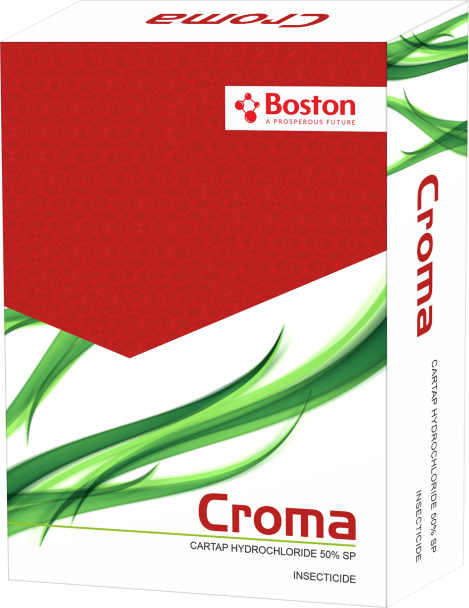 croma