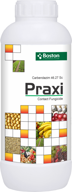 praxi
