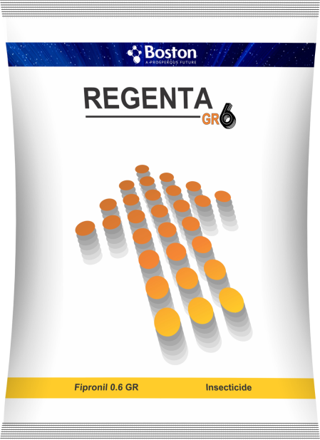regenta-gr6