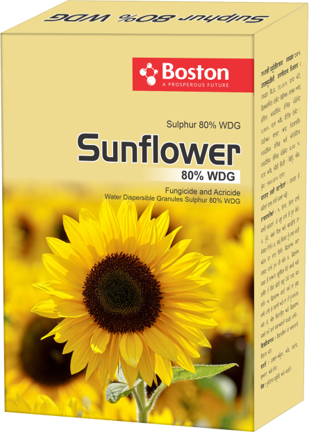 sunflower-80-wdg