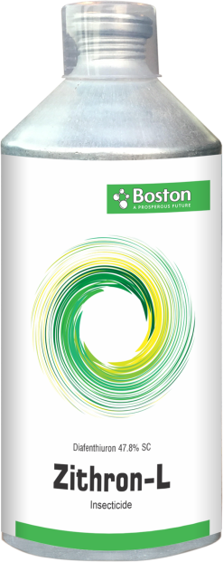 zithron-l